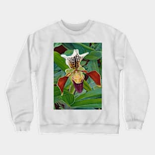 Orchid oil painting on canvas 18 x 24 inches Crewneck Sweatshirt